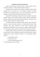 Bendrieji apskaitos principai bei nuostatos 4 puslapis