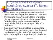 Situatyvinė teorija 10 puslapis