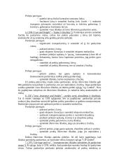 Prekybos terminai Incoterms 3 puslapis