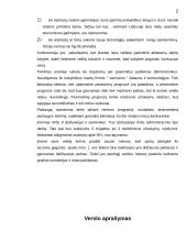 Verslo planas - langų sandarinimas 2 puslapis