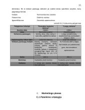 Verslo planas - langų sandarinimas 11 puslapis