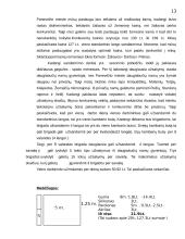 Verslo planas - langų sandarinimas 13 puslapis