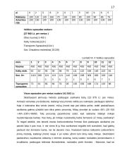 Verslo planas - langų sandarinimas 17 puslapis