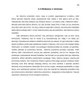 Verslo planas - langų sandarinimas 19 puslapis