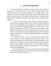 Verslo planas - langų sandarinimas 3 puslapis