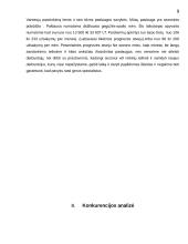 Verslo planas - langų sandarinimas 9 puslapis