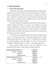 Verslo Planas - Melioracija 2 puslapis