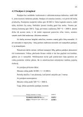 Verslo Planas - Melioracija 15 puslapis