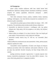 Verslo Planas - Melioracija 17 puslapis