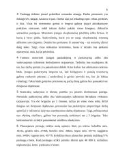 Verslo Planas - Melioracija 6 puslapis