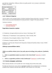 Verslo planų rengimas 14 puslapis