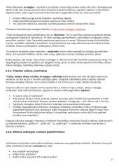 Verslo planų rengimas 17 puslapis