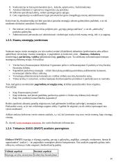 Verslo planų rengimas 10 puslapis