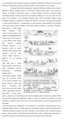 Bendroji ekologija ir aplinkos apsauga 3 puslapis