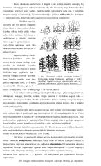 Bendroji ekologija ir aplinkos apsauga 4 puslapis