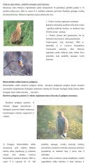 Bendroji ekologija ir aplinkos apsauga 8 puslapis