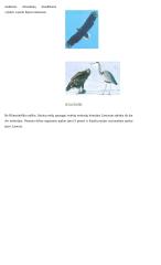 Bendroji ekologija ir aplinkos apsauga 9 puslapis