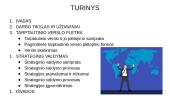 Tarptautinio verslo plėtra, strateginis valdymas 2 puslapis