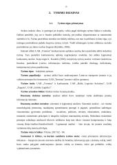 UAB „Tromina“ konkurencinės aplinkos analizė 18 puslapis