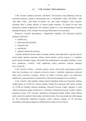 UAB „Tromina“ konkurencinės aplinkos analizė 19 puslapis