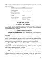 Organizacijos „MAXIMA LT“ valdymas 14 puslapis