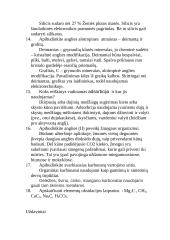 Chemijos testas 2 puslapis