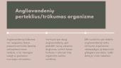 Angliavandenių vartojimo prieš fizinius krūvius poveikis darbingumui 4 puslapis