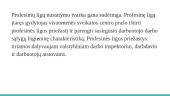 Profesinės ligos ir jų prevencija 11 puslapis