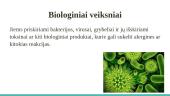 Profesinės ligos ir jų prevencija 7 puslapis