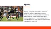 Agresija sporte 2 puslapis
