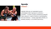 Agresija sporte 3 puslapis