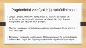 Karo žirgas - Michael Morpurgo apžvalga 4 puslapis