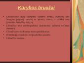 Henrikas Radauskas biografija ir kūryba 18 puslapis