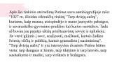 Vinco Mykolaičio-Putino eilėraščio "Rūpintojėlis" analizė 4 puslapis