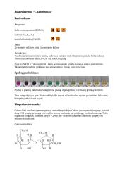 Chemijos eksperimentai 3 puslapis