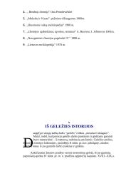 Viskas, ką būtina žinoti apie geležį 4 puslapis