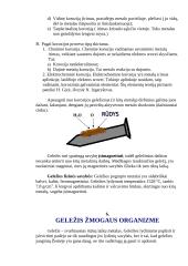 Viskas, ką būtina žinoti apie geležį 10 puslapis