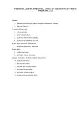 Dokumentų apžvalga: UAB "Langemė" 8 puslapis