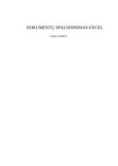 Dokumentų spausdinimas Excel