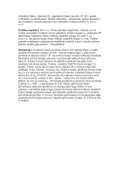 Fotometrija ir šviesos greitis 2 puslapis