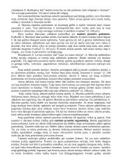 Tikrasis ir dirbtinis patriotizmas 7 puslapis