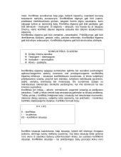 Medicinos personalo požiūris į konfliktą provokuojančius veiksnius 5 puslapis