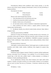 Europos studijų kontrolinis darbas 5 puslapis