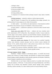 Europos studijų kontrolinis darbas 8 puslapis