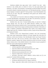 Europos studijų kontrolinis darbas 9 puslapis