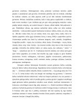 Komenskis apie jaunuomenės ugdymą 11 puslapis