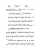 Komenskis apie jaunuomenės ugdymą 8 puslapis