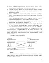 Psichologijos paskaitų aprašymai 2 puslapis