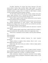 Psichologijos paskaitų aprašymai 6 puslapis