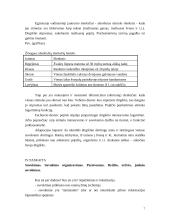 Psichologijos paskaitų aprašymai 7 puslapis